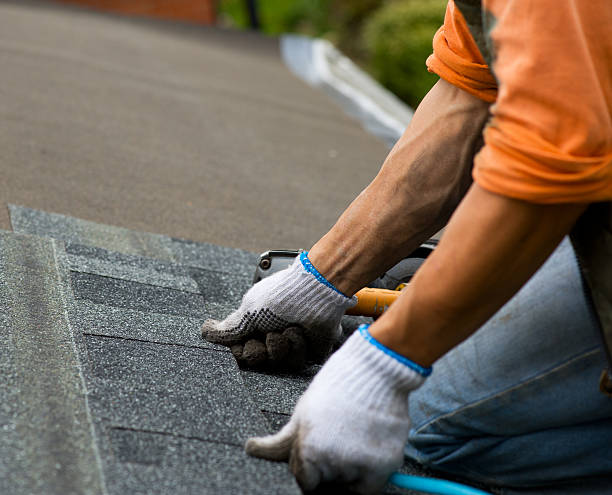 Best Roof Gutter Cleaning  in Raceland, KY